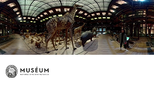 MNHN - GREAT GALLERY OF EVOLUTION IN 360°